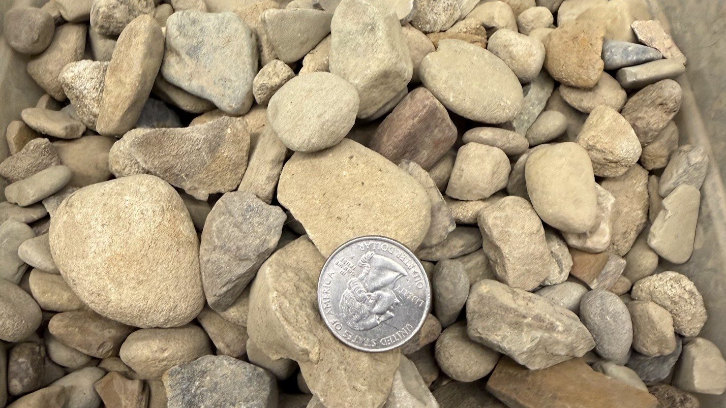 Small rocks and pebbles with a quarter for size reference.