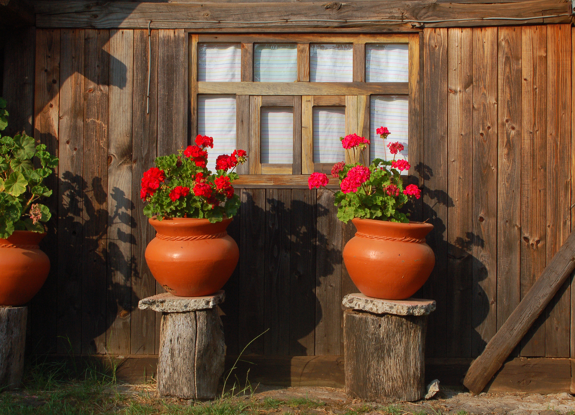 cabins