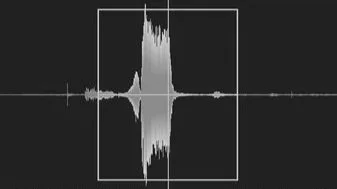 Analyse