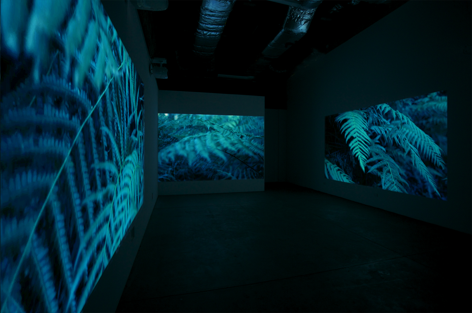 DarkMess_install1_lowres.jpg