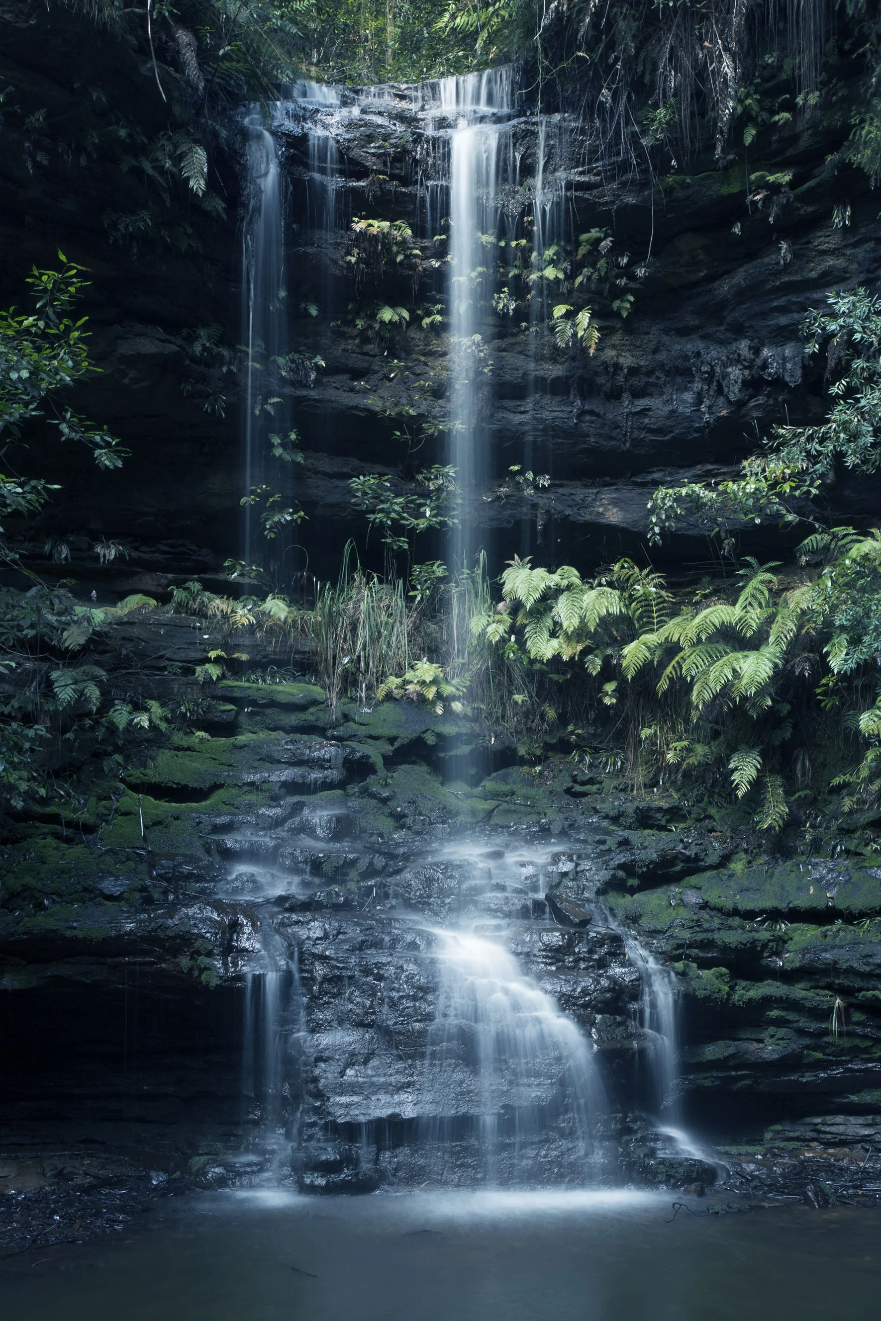 2P9A2693_edited_C.jpg