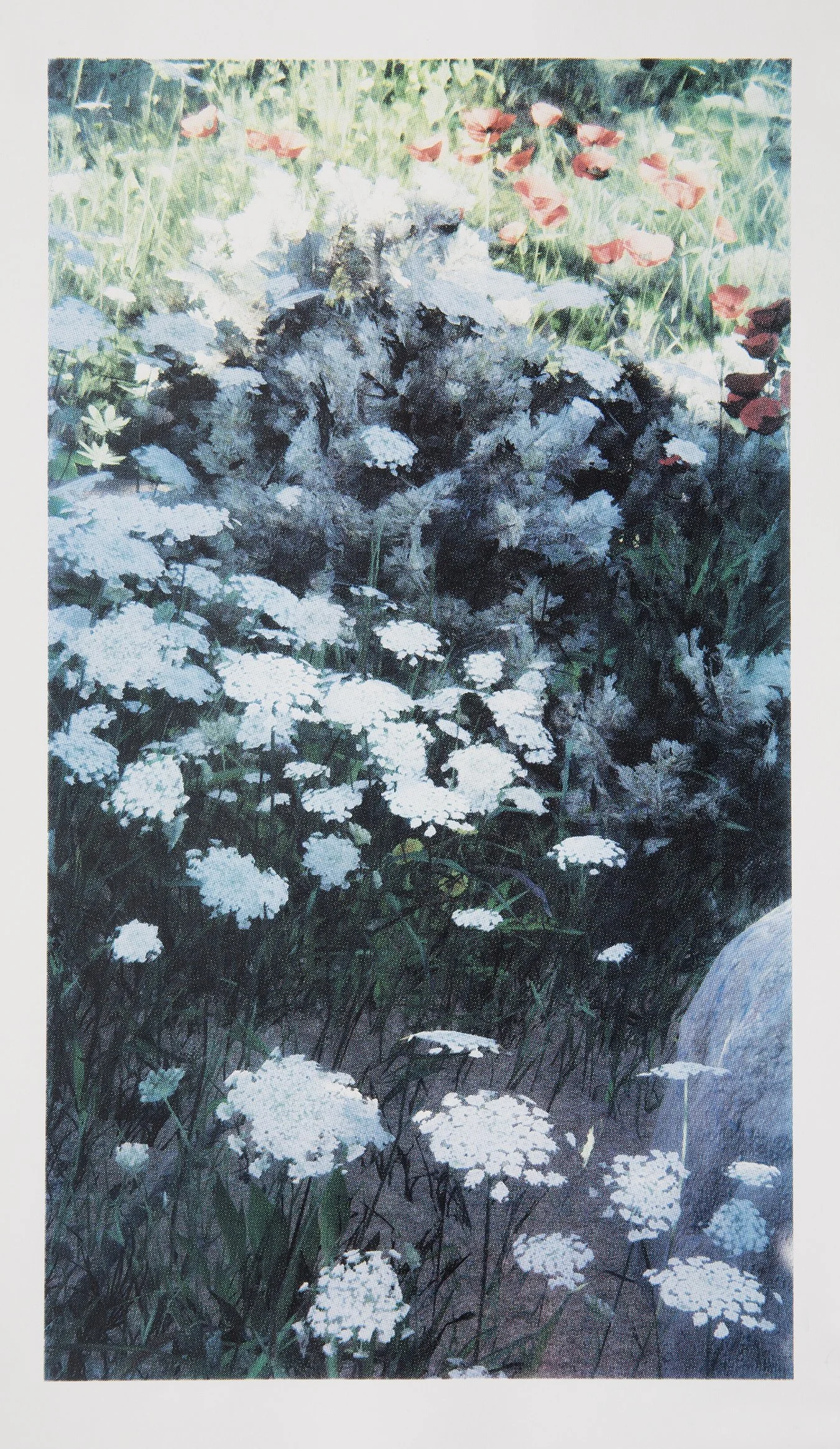   Forest View 1  (2026), four-colour screen print on Stonehenge 245gsm cotton rag, 80cm x 45cm, edition of 1 + 1 AP 