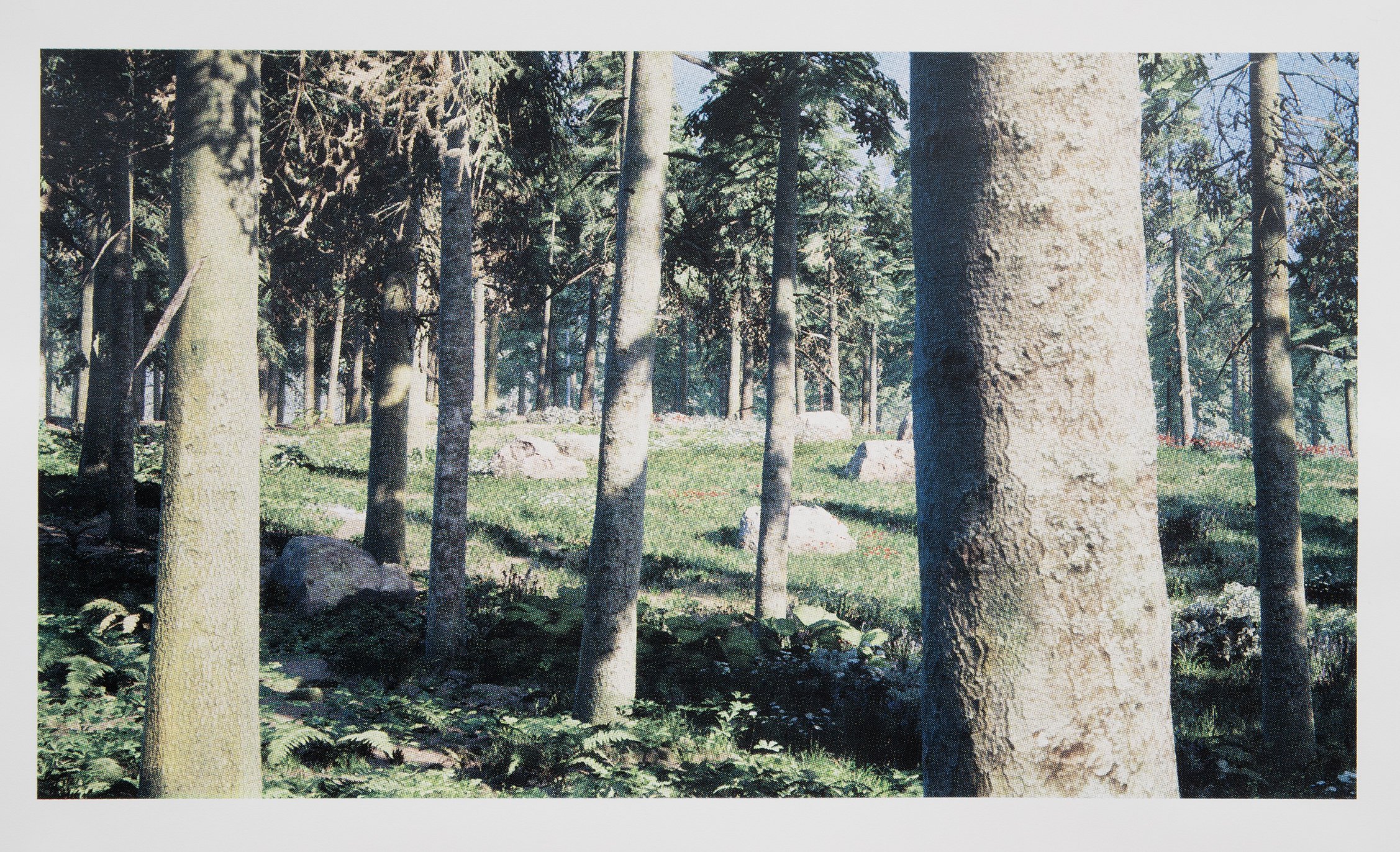   Forest View 2  (2026), four-colour screen print on Stonehenge 245gsm cotton rag, 45cm x 80cm, edition of 1 + 1 AP 