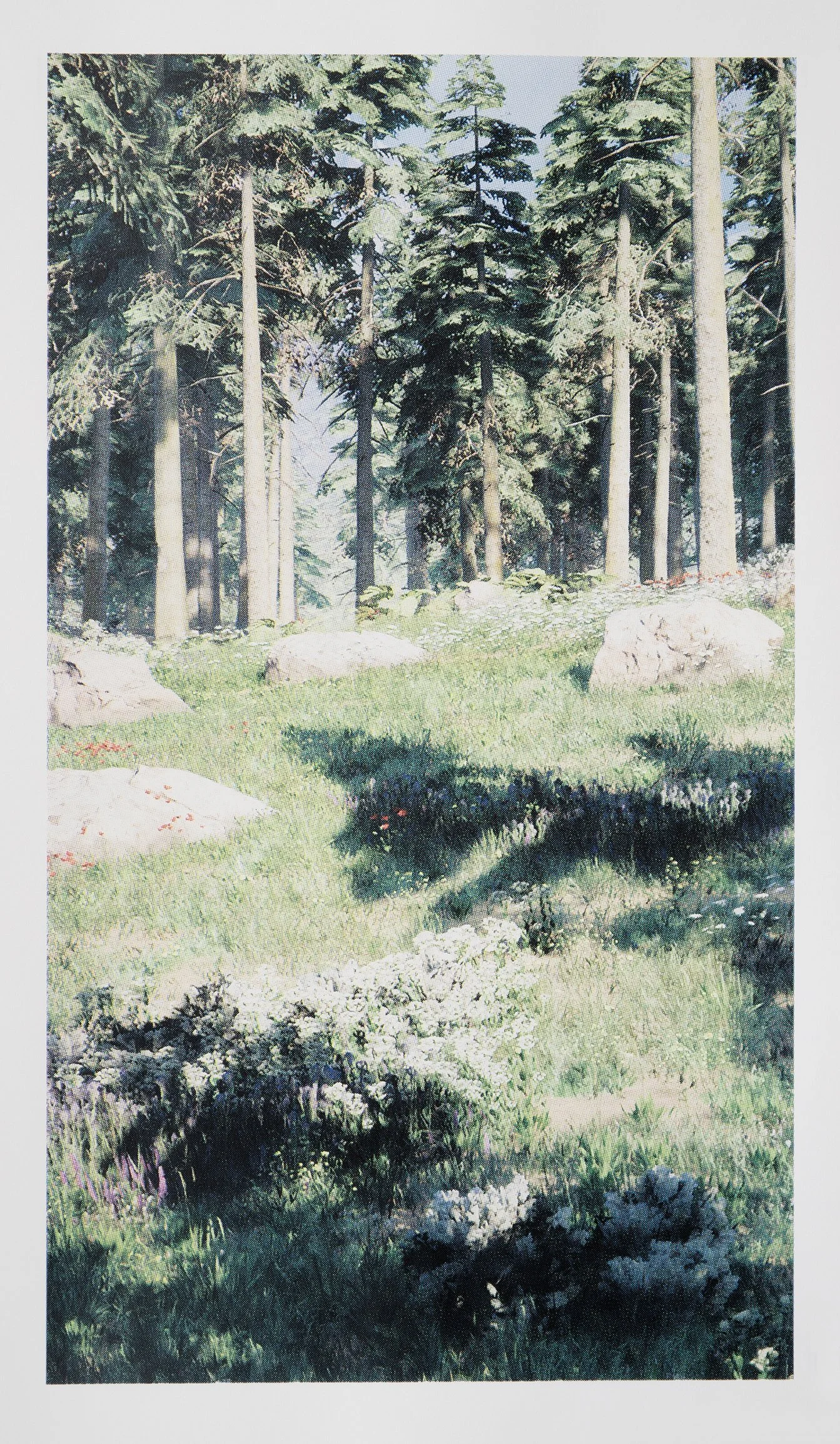   Forest View 3  (2026), four-colour screen print on Stonehenge 245gsm cotton rag, 80cm x 45cm, edition of 1 + 1 AP 