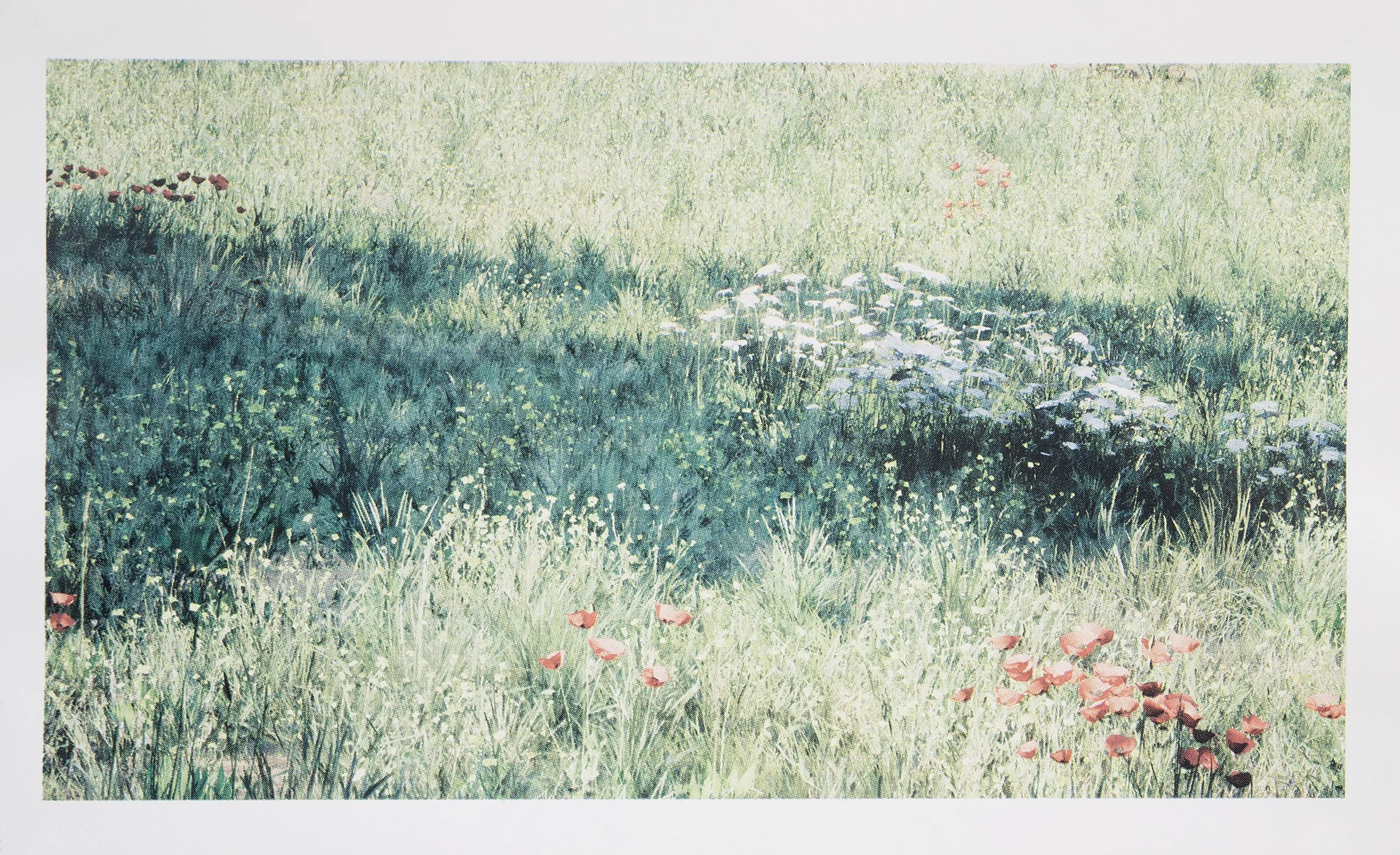   Forest View 6  (2026), four-colour screen print on Stonehenge 245gsm cotton rag, 45cm x 80cm, edition of 1 + 1 AP 