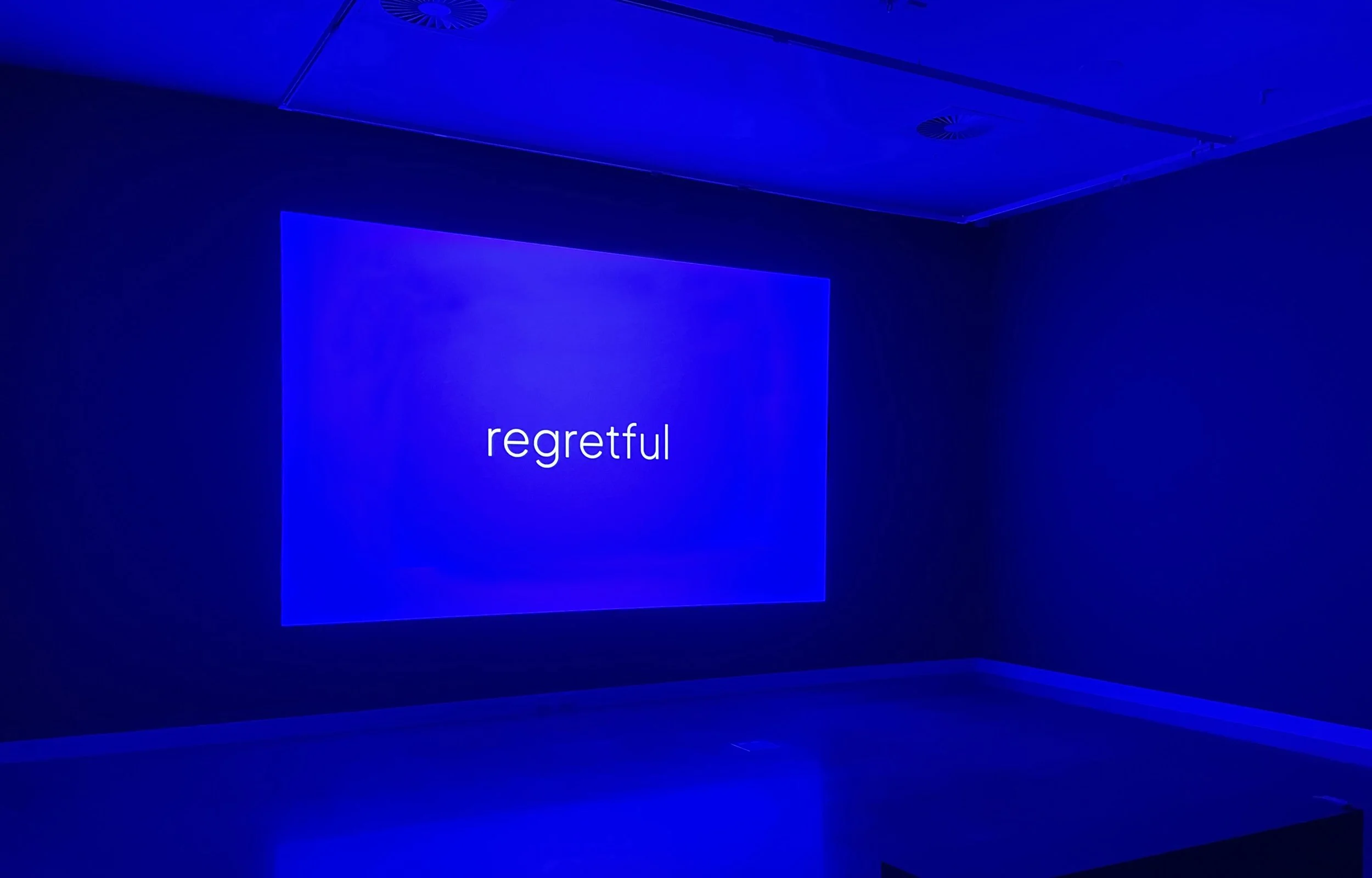 Feelings_install_HBRG03c.jpg
