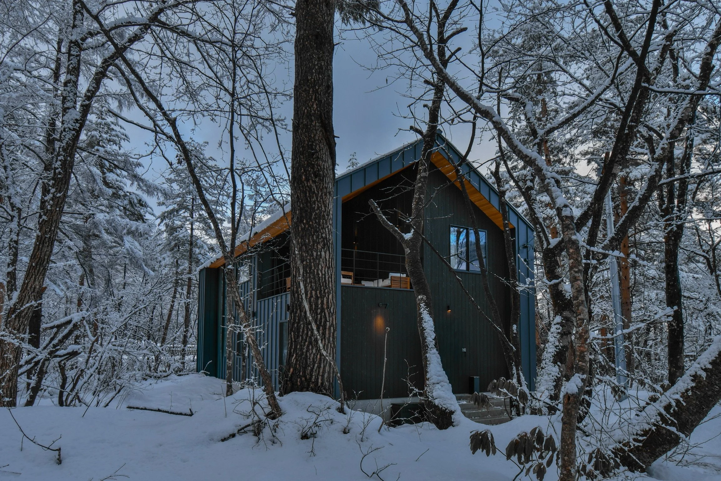 YAM_2044.JPG