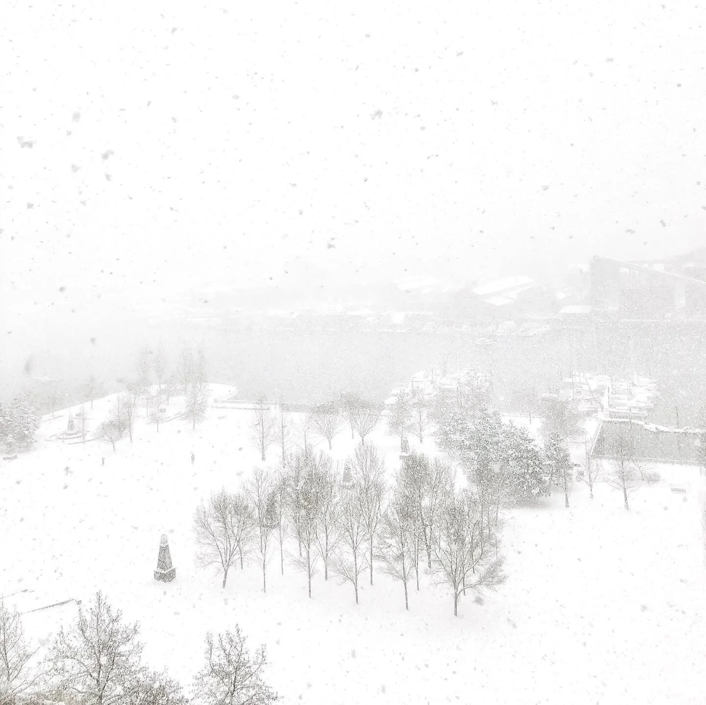 ✨Today&rsquo;s Winter Wonderland! ❄️ Wow, Vancouver! ✨
.
.
.
.
.
.
.
.
.
.
.
.
.
.
.
.
.
.
.
.
.
___________
#broadwaywineshop #moment #explorebc #explorecanada #beautifulbc #inspiration #canada #liveauthentic #ig_captures #igdaily #igers #instagood #livefolk #amazing #love #vancouverisawesome #picoftheday #photooftheday #awesome #snowday #snow #winterwonderland #winter #beautiful #view #vancouver #pnw #pnwcollective #vsco #vscocam // All images: Copyright&copy;2019 Broadway International Wine Shop.