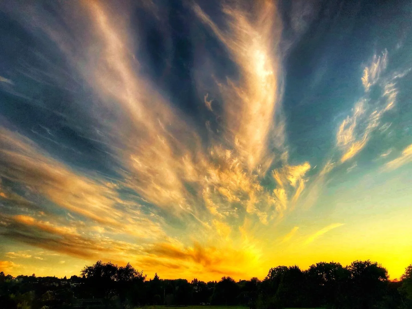 We watched tonight&rsquo;s beautiful sunset from a field that we happened to have to ourselves. Wow, Vancouver! ❤️
.
We hope everyone has a lovely weekend. xo
.
.
.
.
.
.
.
.
.
.
.
.
.
.
_______________
#moment #explore #peace #dream #inspiration #canada #liveauthentic #livefolk #ig_captures #igdaily #igers #igersoftheday #instagood #beautiful #nofilter #view #awesome #picoftheday #photooftheday #landscape #park #amazing #sun #sunset #sky #clouds #vancouver #pnw #love #vscocam // All images: Copyright&copy;2020 Broadway International Wine Shop.