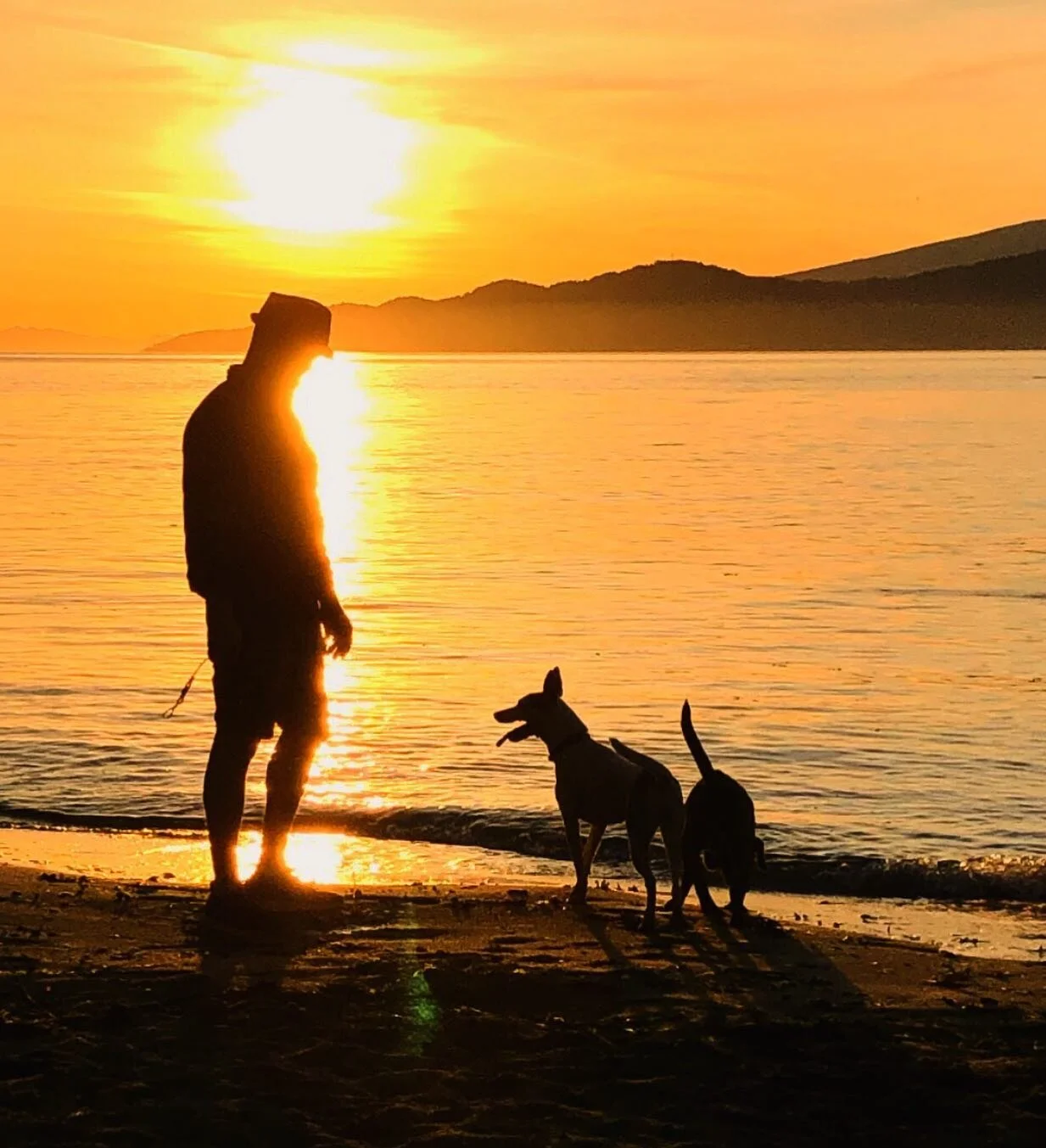 🌞Honouring Earth Day! 🌎🙏🏼🙌🏼✨
.
.
.
.
.
.
.
.
.
.
.
.
.
.
.
.
.
.
.
_______________
#weareinthistogether #moment #happyearthday #earthday #grateful #beautifulbc #inspiration #canada #liveauthentic #livefolk #ig_captures #igdaily #igers #igersoftheday #instagood #beautiful #nofilter #view #awesome #picoftheday #photooftheday #water #amazing #sun #sunset #sky #clouds #pnw #pnwonderland #vscocam // All images: Copyright&copy;2018 Broadway International Wine Shop.