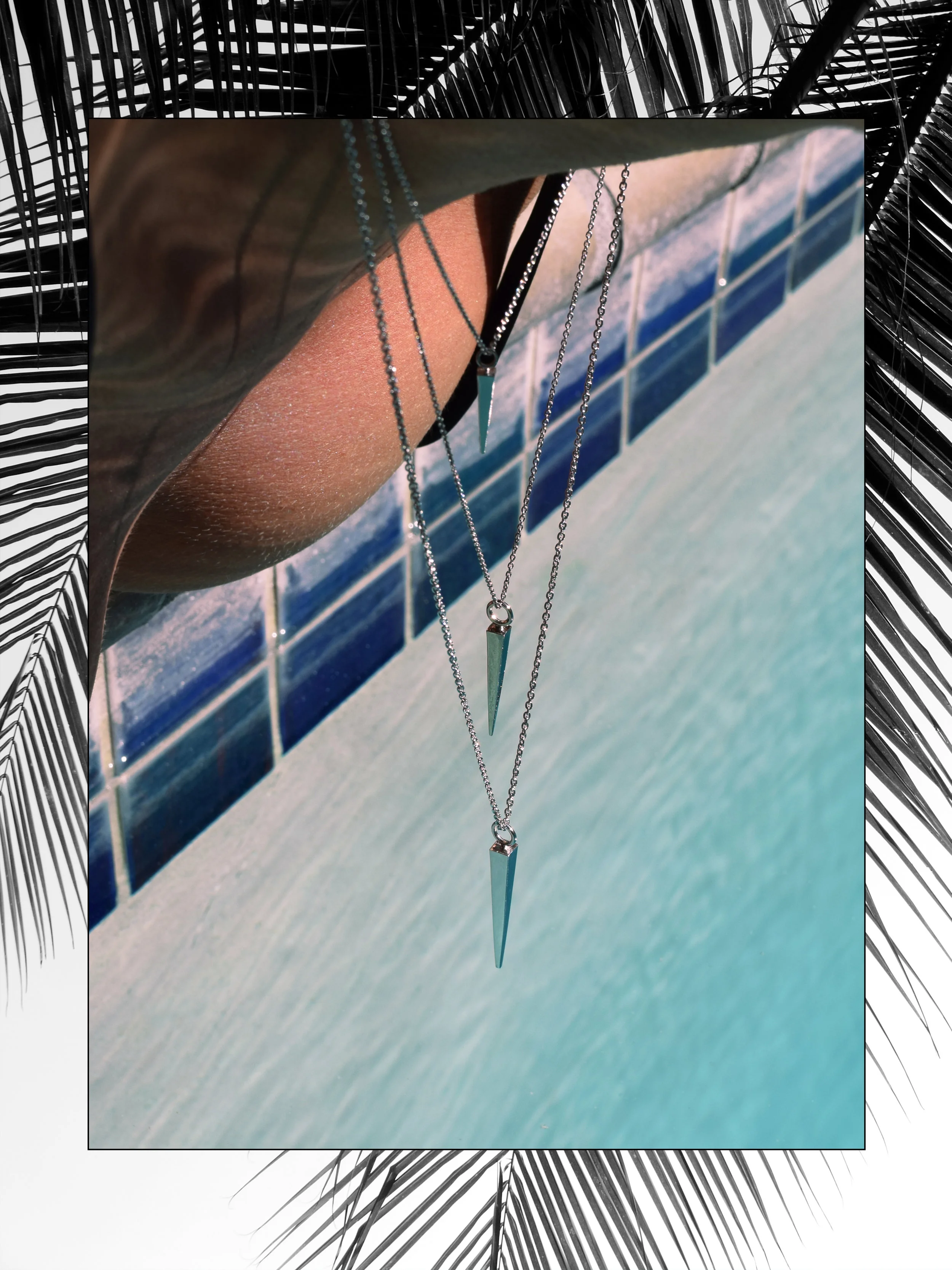 spikes over pool palm tree.jpg