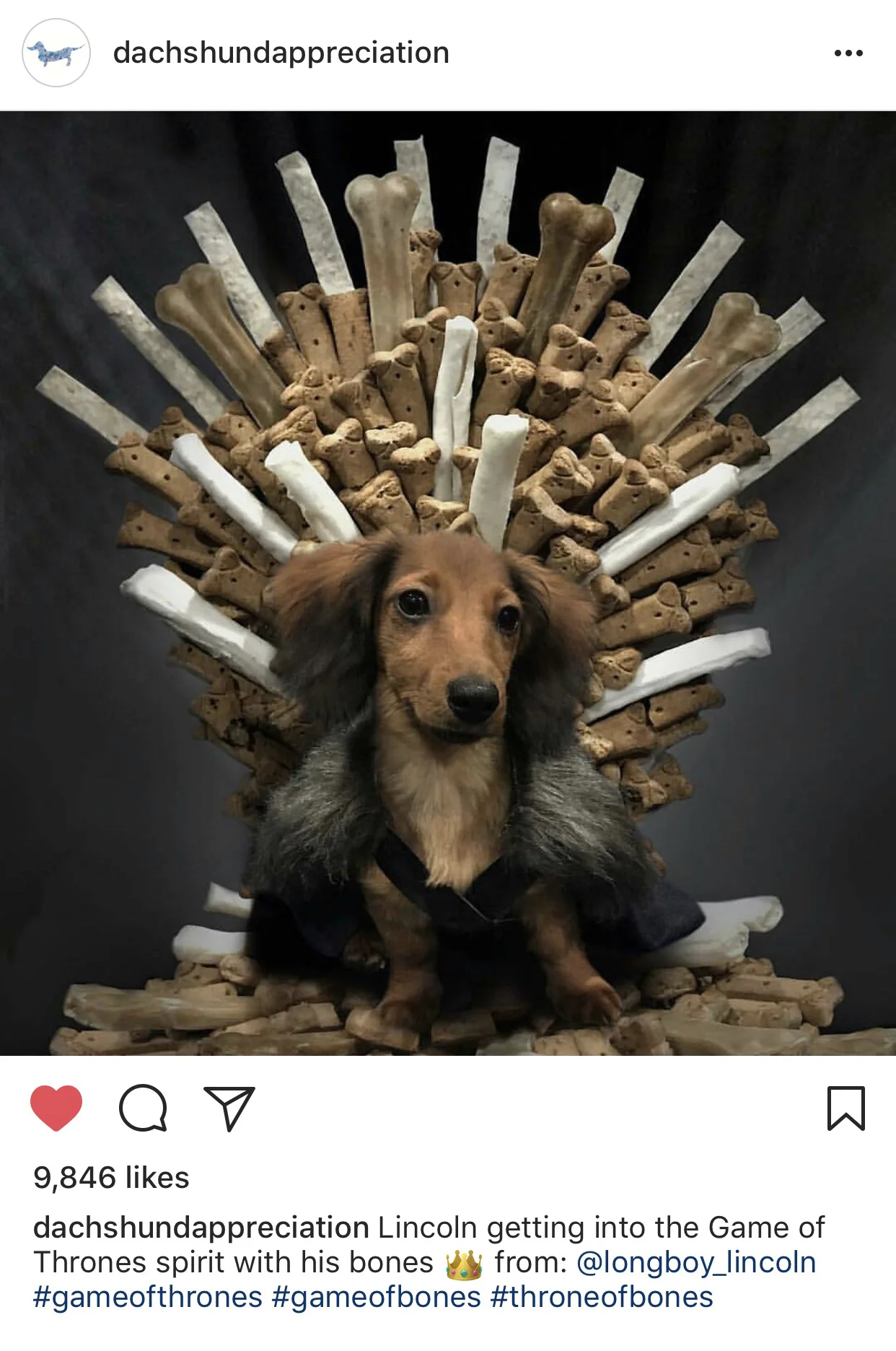 Game of Bones.jpg