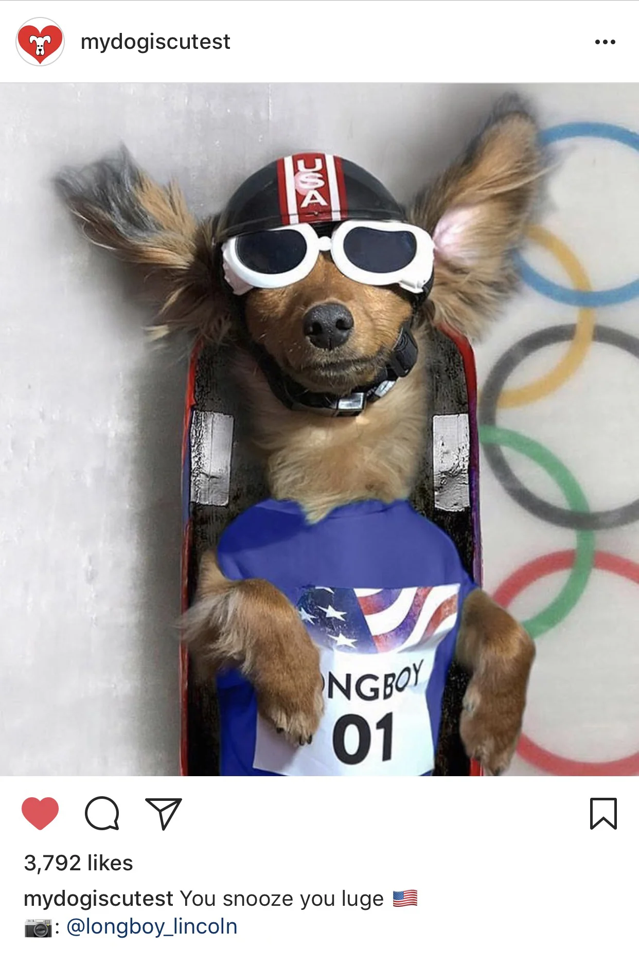 luge.jpg
