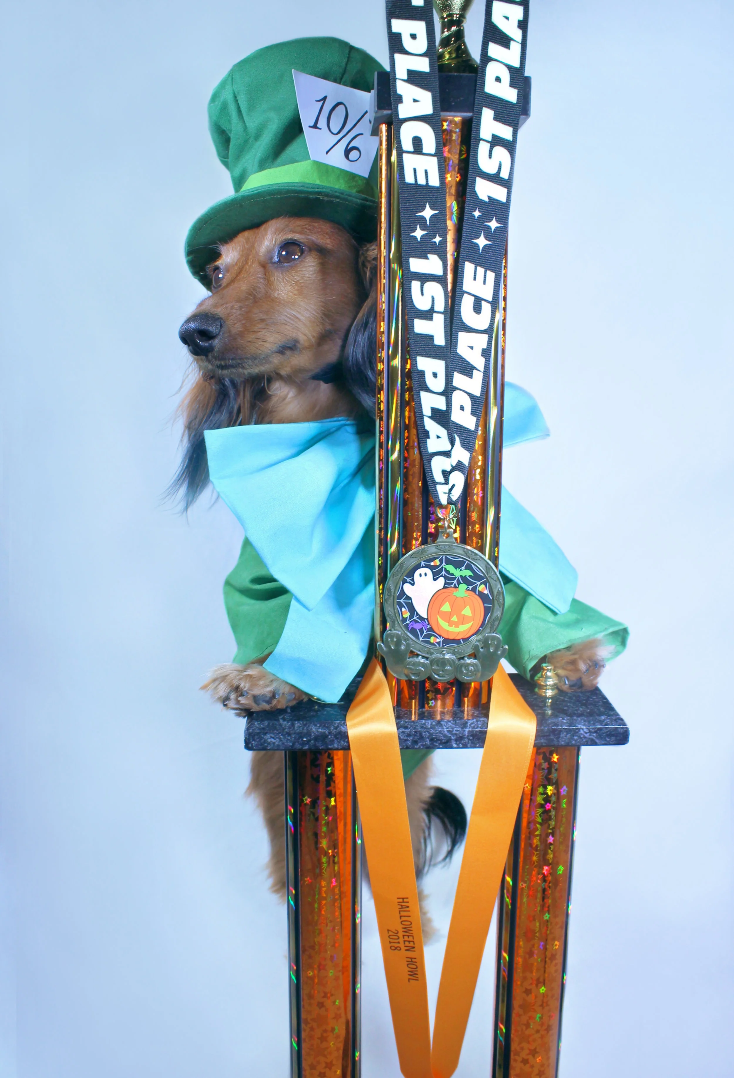 KatherynRenfroe_BarkingMadHatter_5.jpg