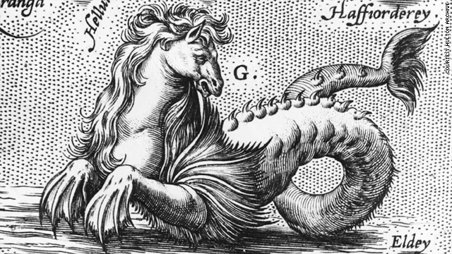 Liberace's seahorse