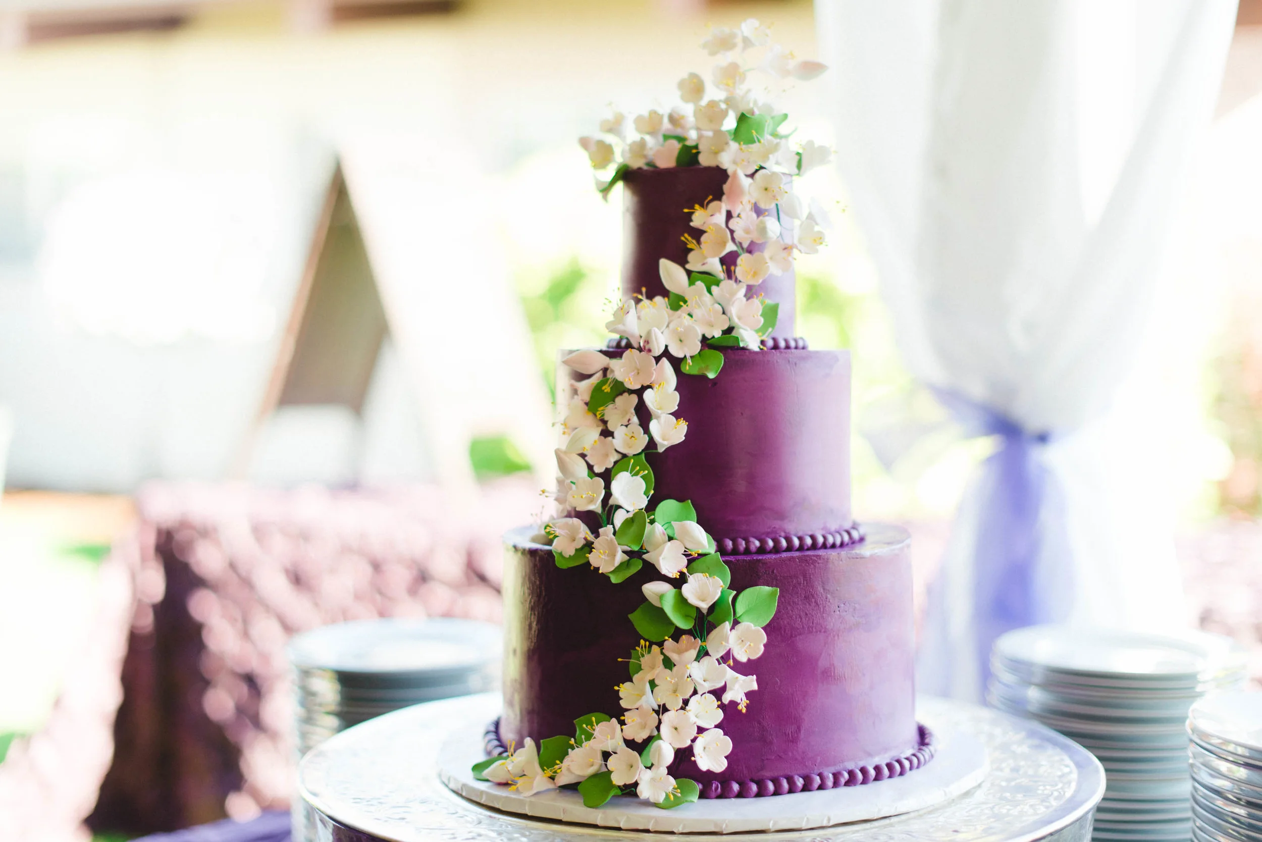 Sharyn and Carlos_-218.jpg
