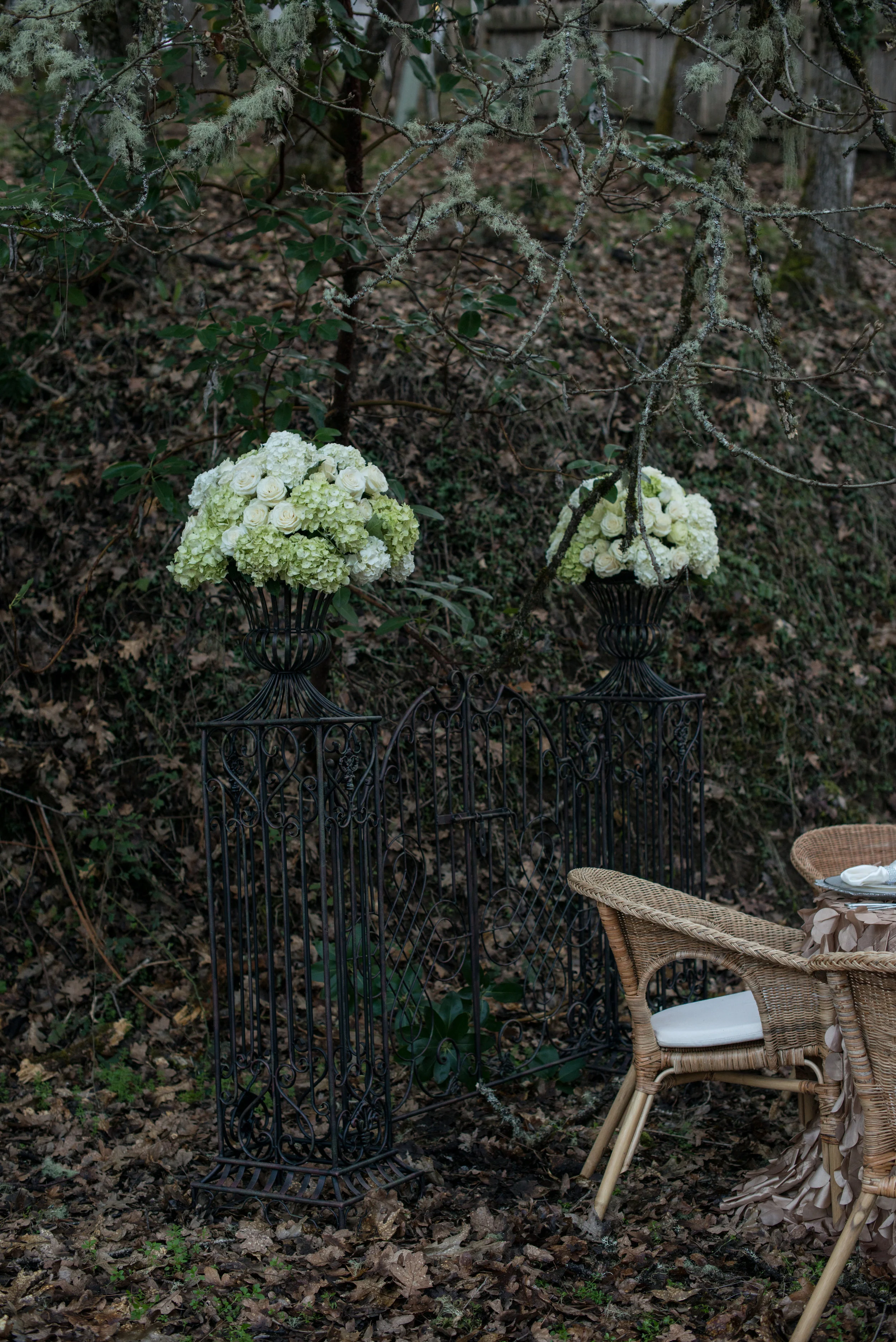 The Perfect Occasion-untitled folder-0153.jpg