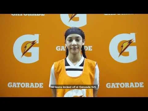 Gato 5v5 - 2019