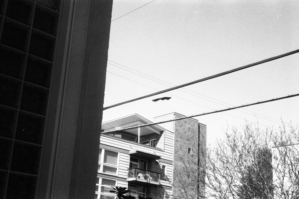 img2321-13April2021-CanonP-50mmlens-Arista400_mattschu_web.PNG