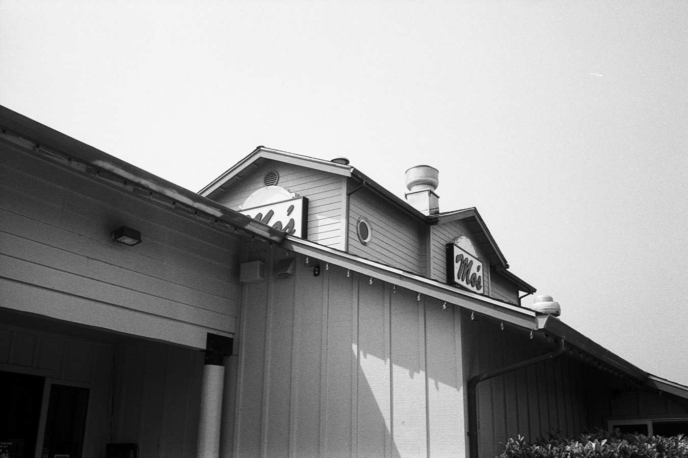 2Aug2021-CanonP2-35ColorSkopar-yfilter-trix400-mattschu-07-web.png