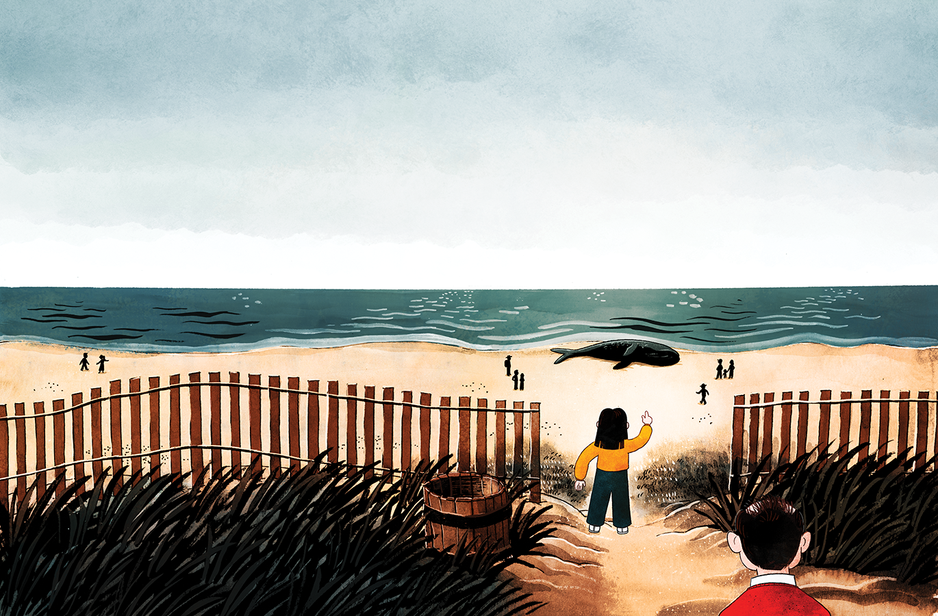 whale-2-3-mattschu-V1-web.png