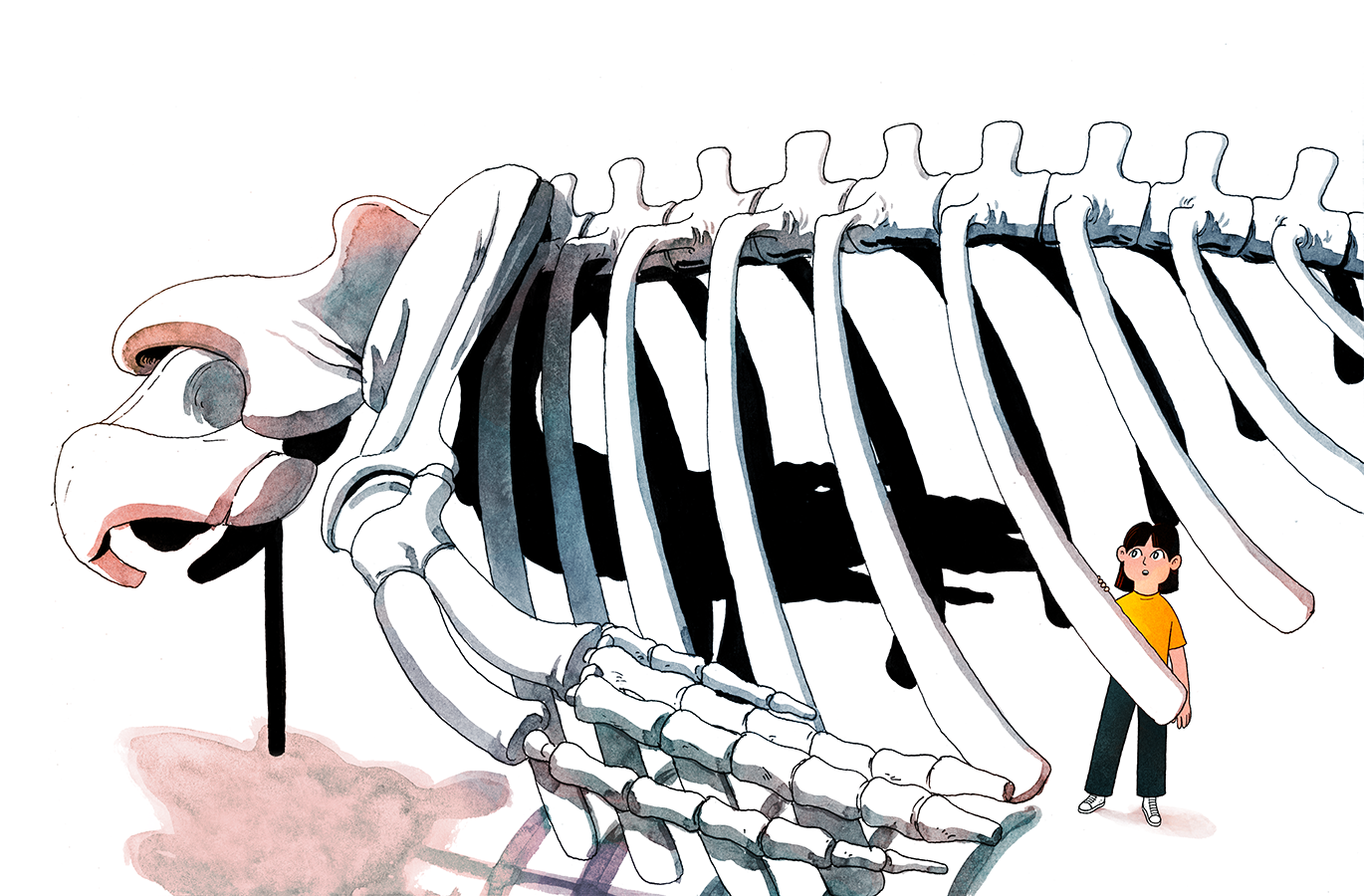 whale-26-27-mattschu-V1-web.png