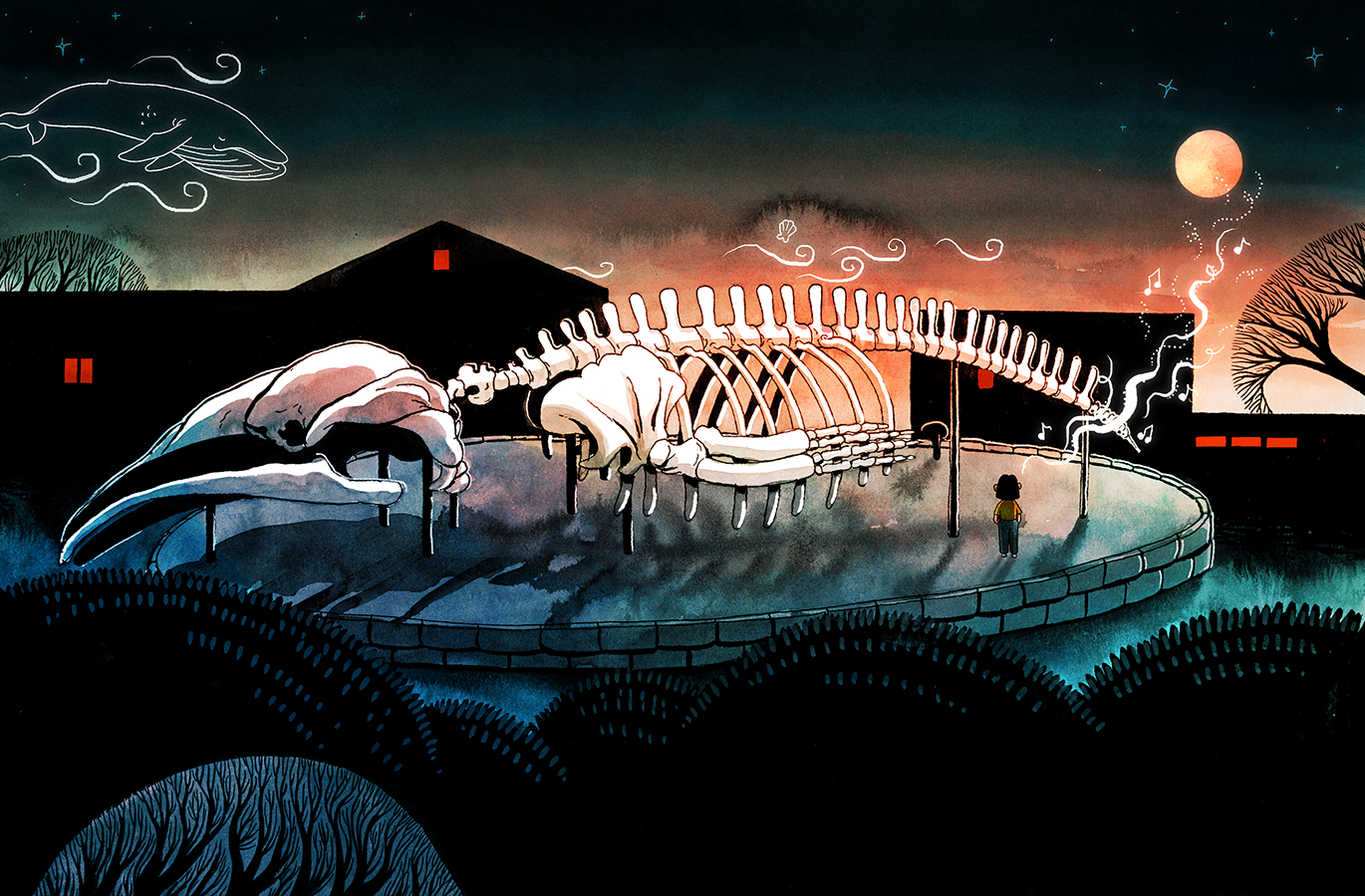 whale-32-33-mattschu-V2-web.png