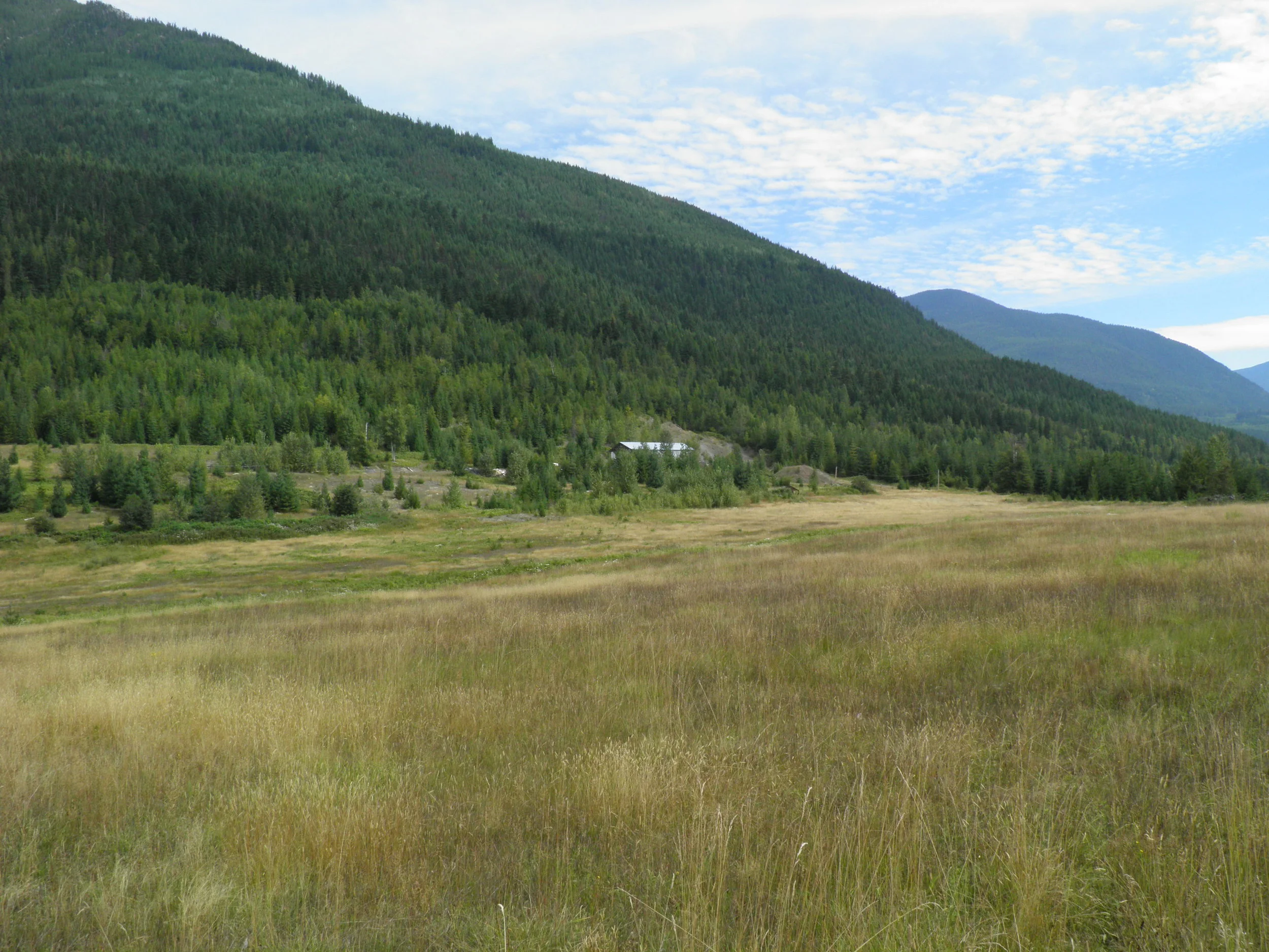 beautiful fields.jpg