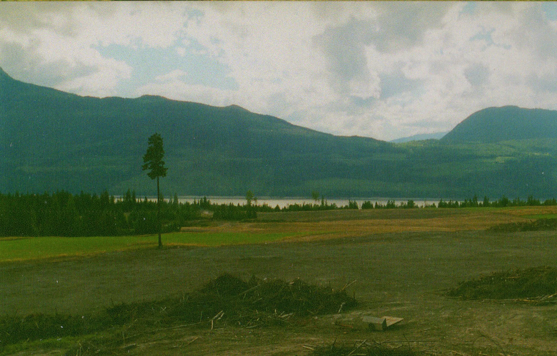 Farm Haying 3.jpg