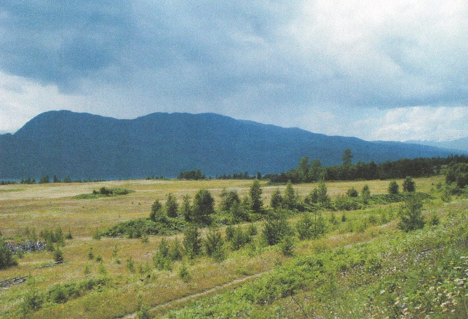 hay fields test view 1.jpg
