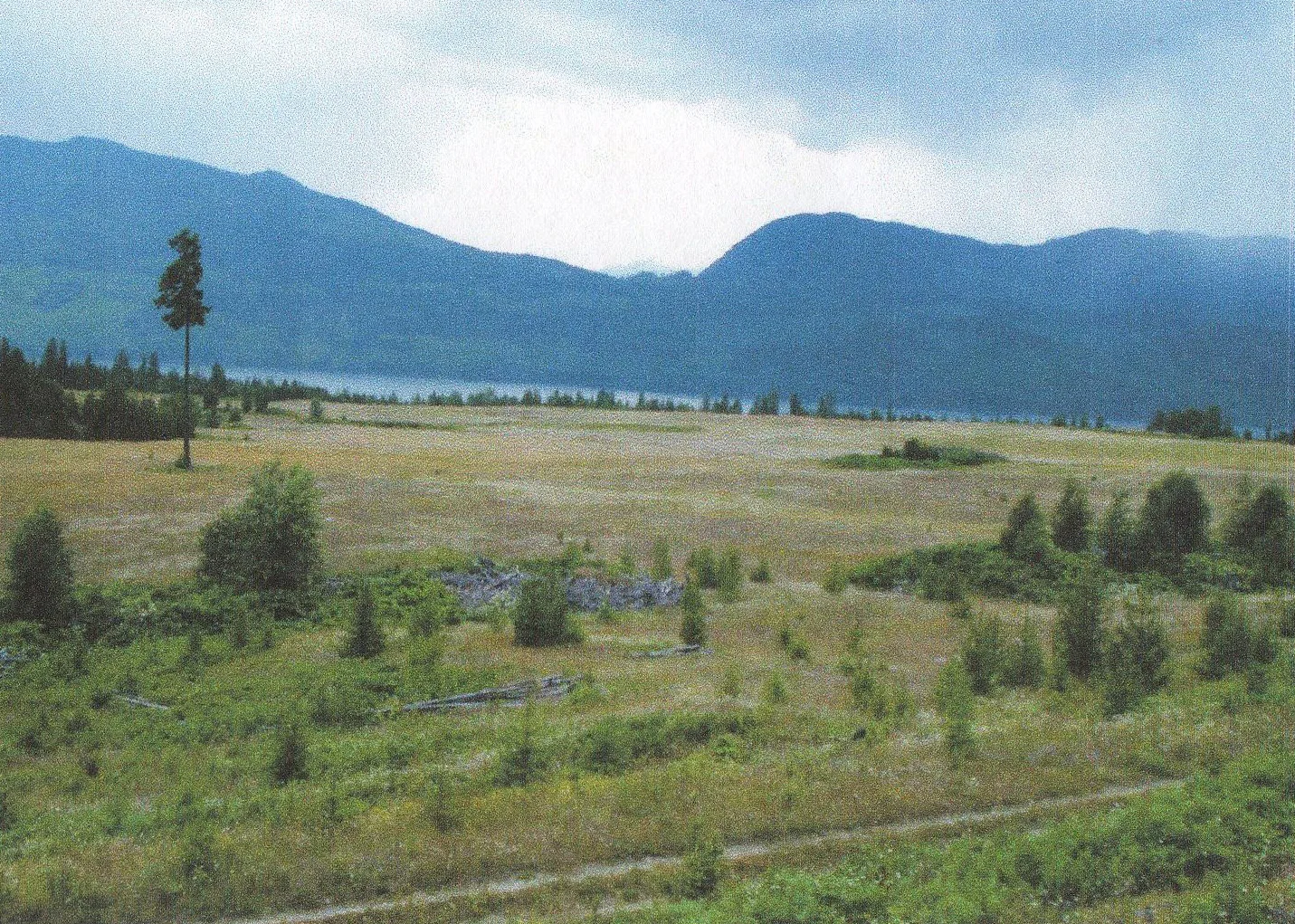 hay fields test view 2.jpg