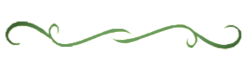 green-divider.png