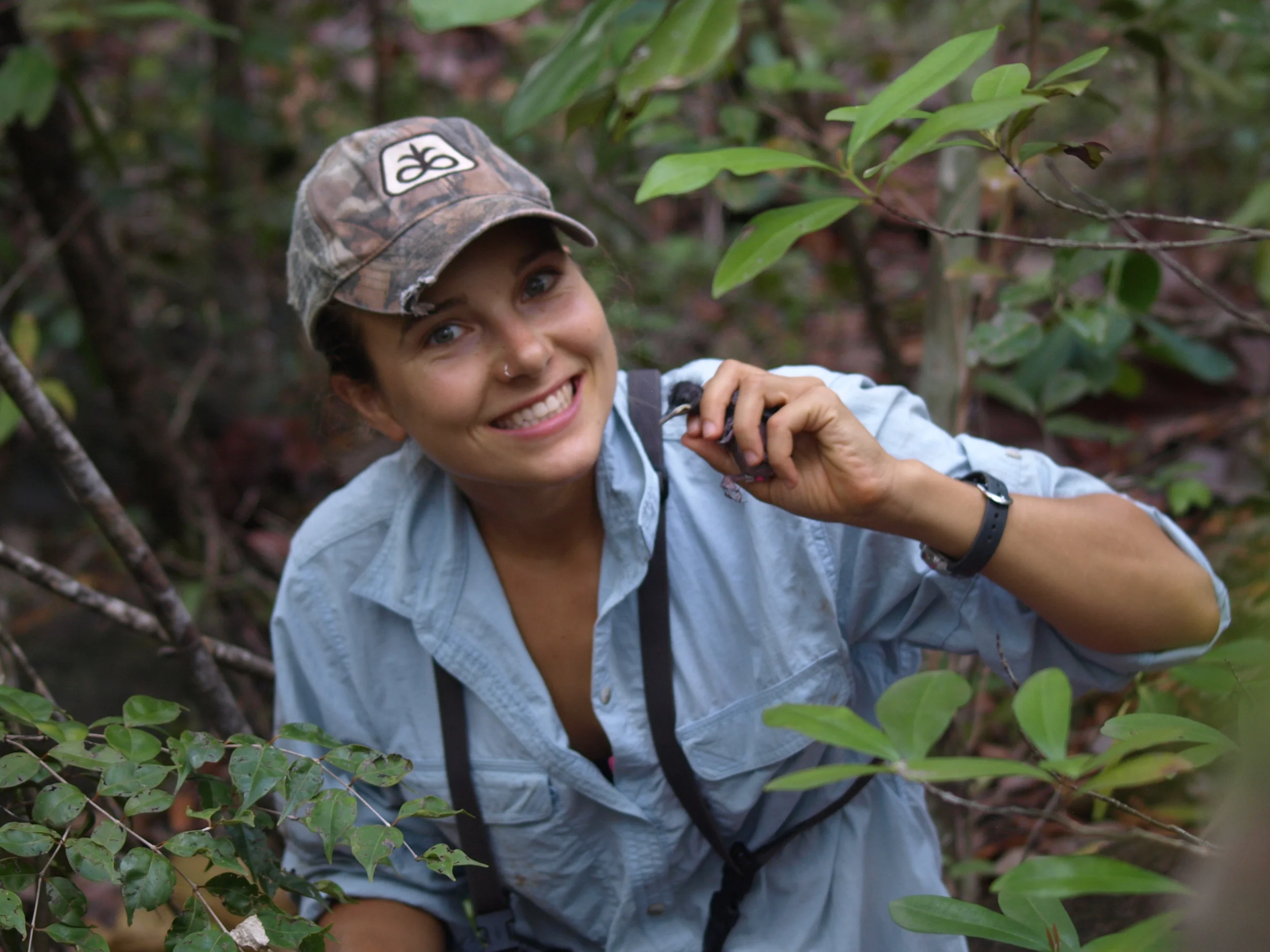  Kate Freeman about to devour a nestling White-breasted Thrasher 