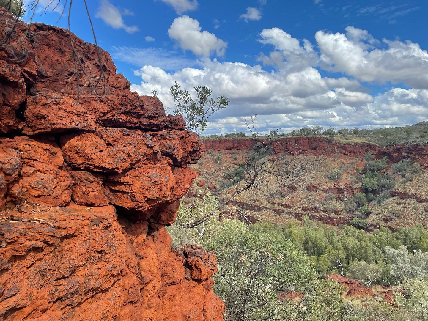 Views from the West: Day 14
+ more red, greens, and blues
+ Zoe meets swimming hole
+ Hamersley Range goanna
+ Pilbara Death Adder
Karijini NP