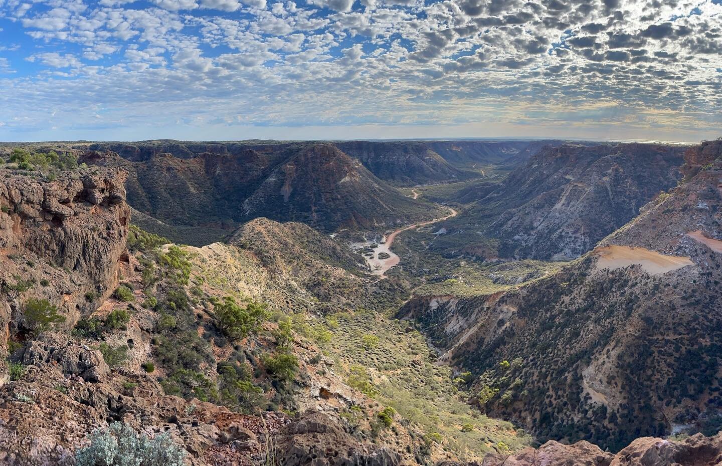 Views from the West: Day 8
+ looking down Shothole Canyon, Cape Range NP
+ gum trees along the Nullagine River
+ 🍺 from both Exmouth breweries 
+ camp among the 🌳