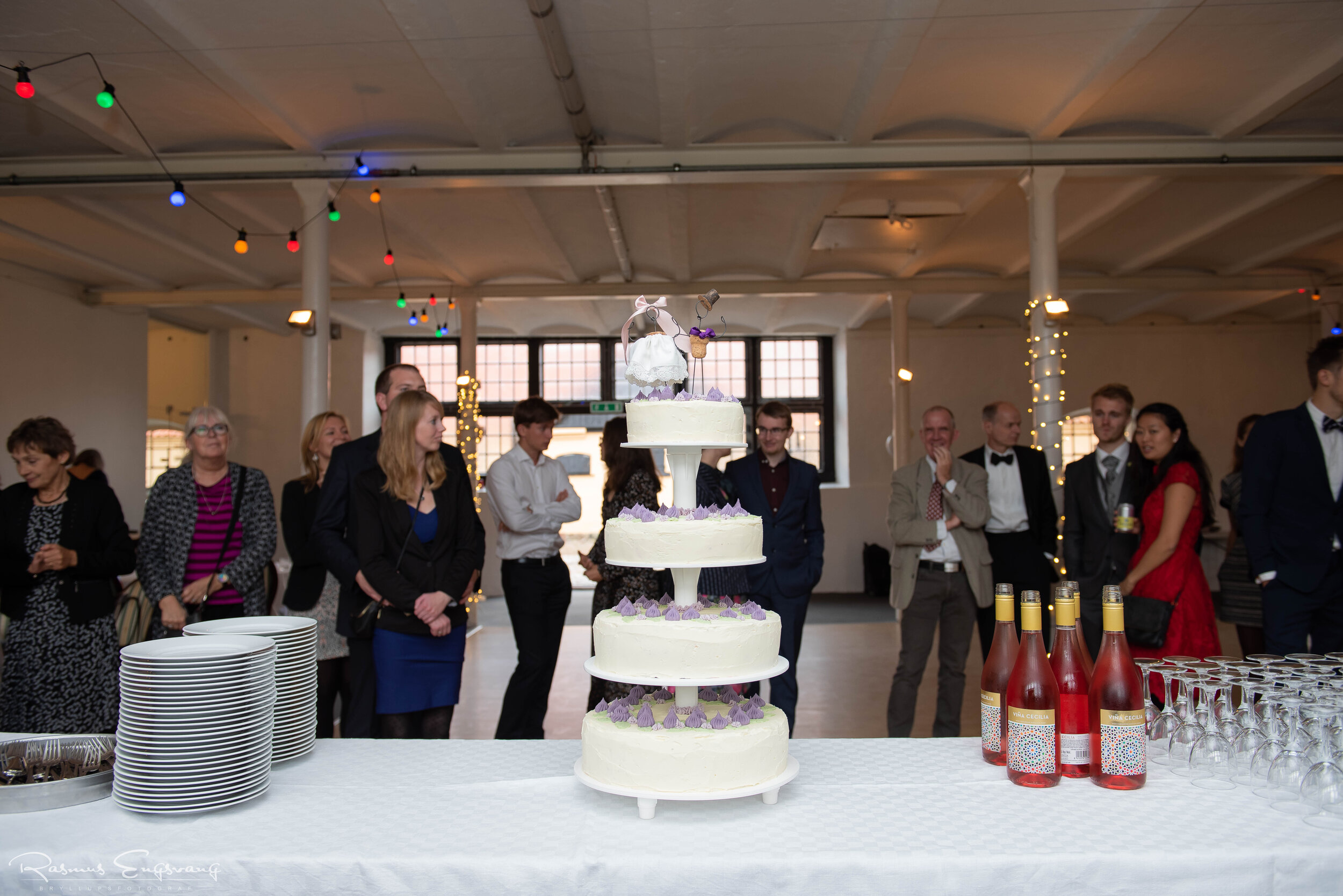 18_Bryllupsreception_Grønnessegård_Gods_Fotograf-102.jpg