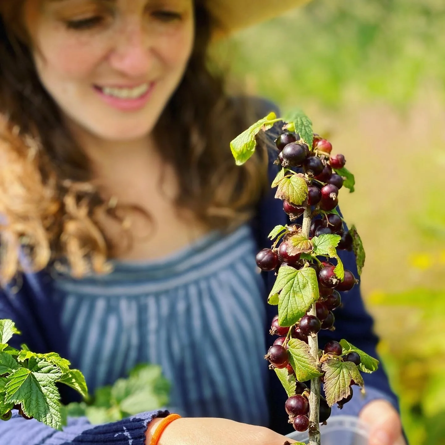 The Art of Savouring Summer Abundance