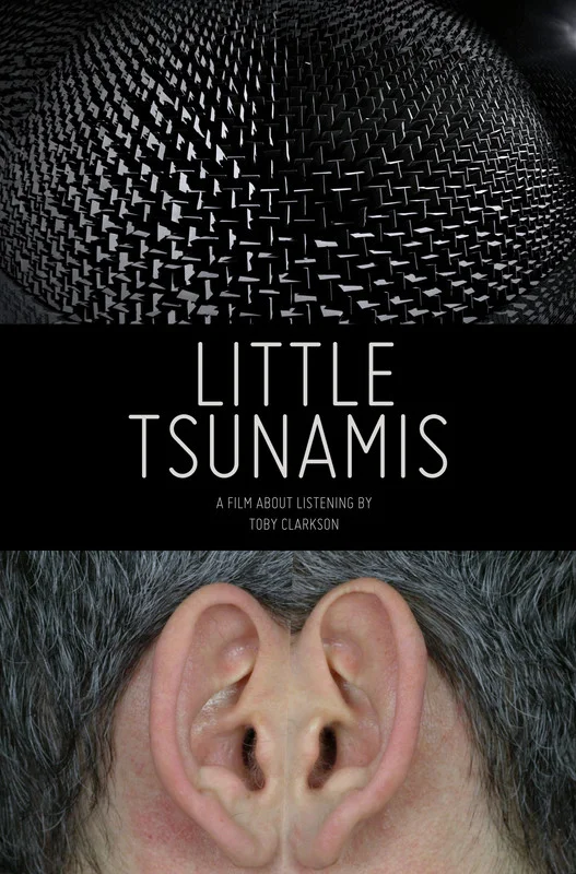 Little Tsunamis - Poster.jpg