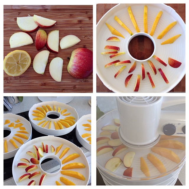 The Hunt For a Dehydrator...