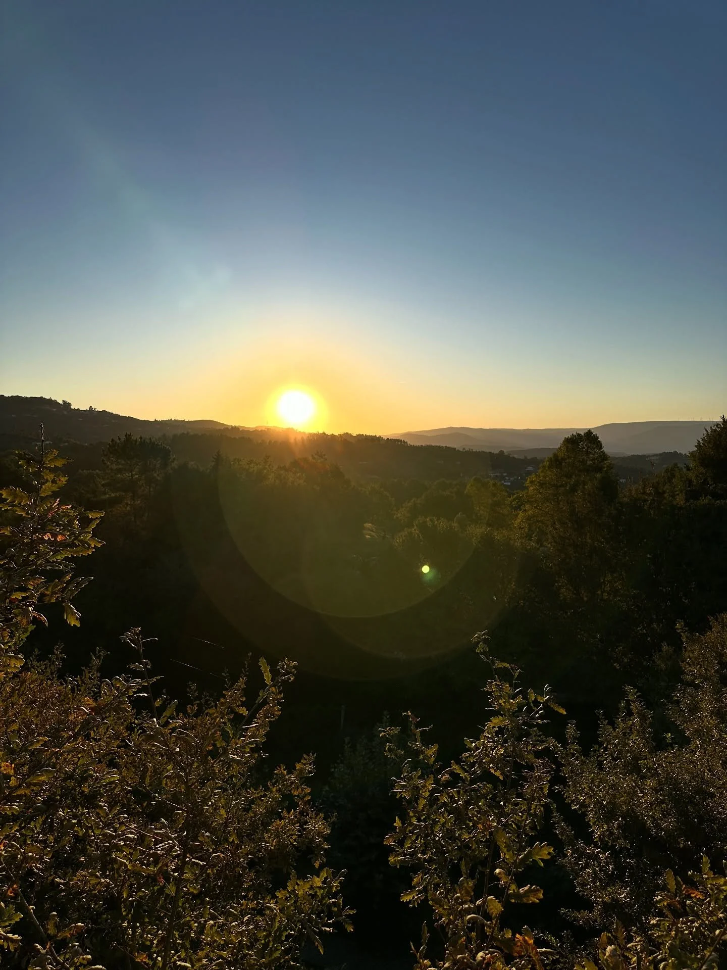 Spent the past long weekend checking in with @sarahandtypowers, my dharma and yin yoga teacher, at the calming and restorative @dalijoretreatcenter 

This term was all about the 5 Hindrances and all the ways we get in the way of ourselves. 

It&rsquo