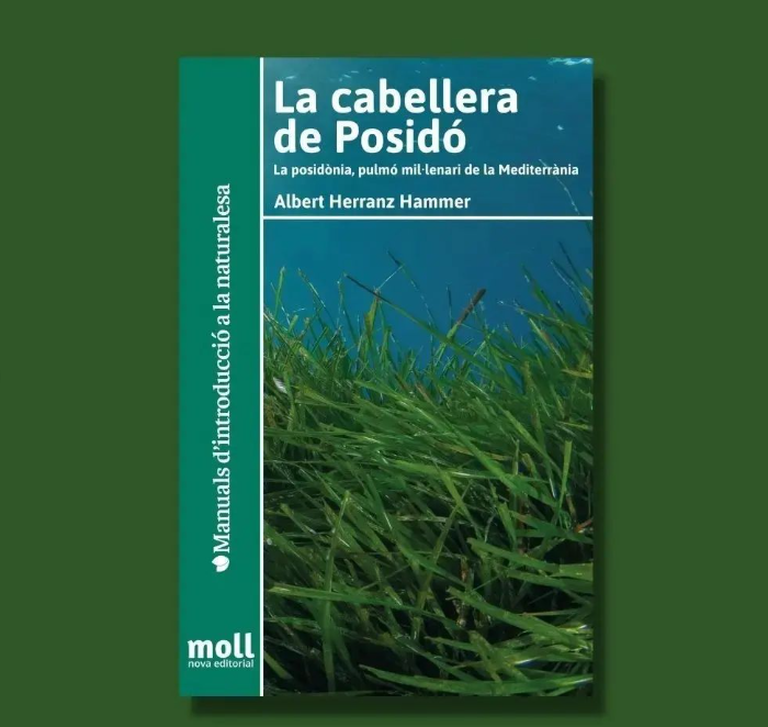 La cabellera de Posidó