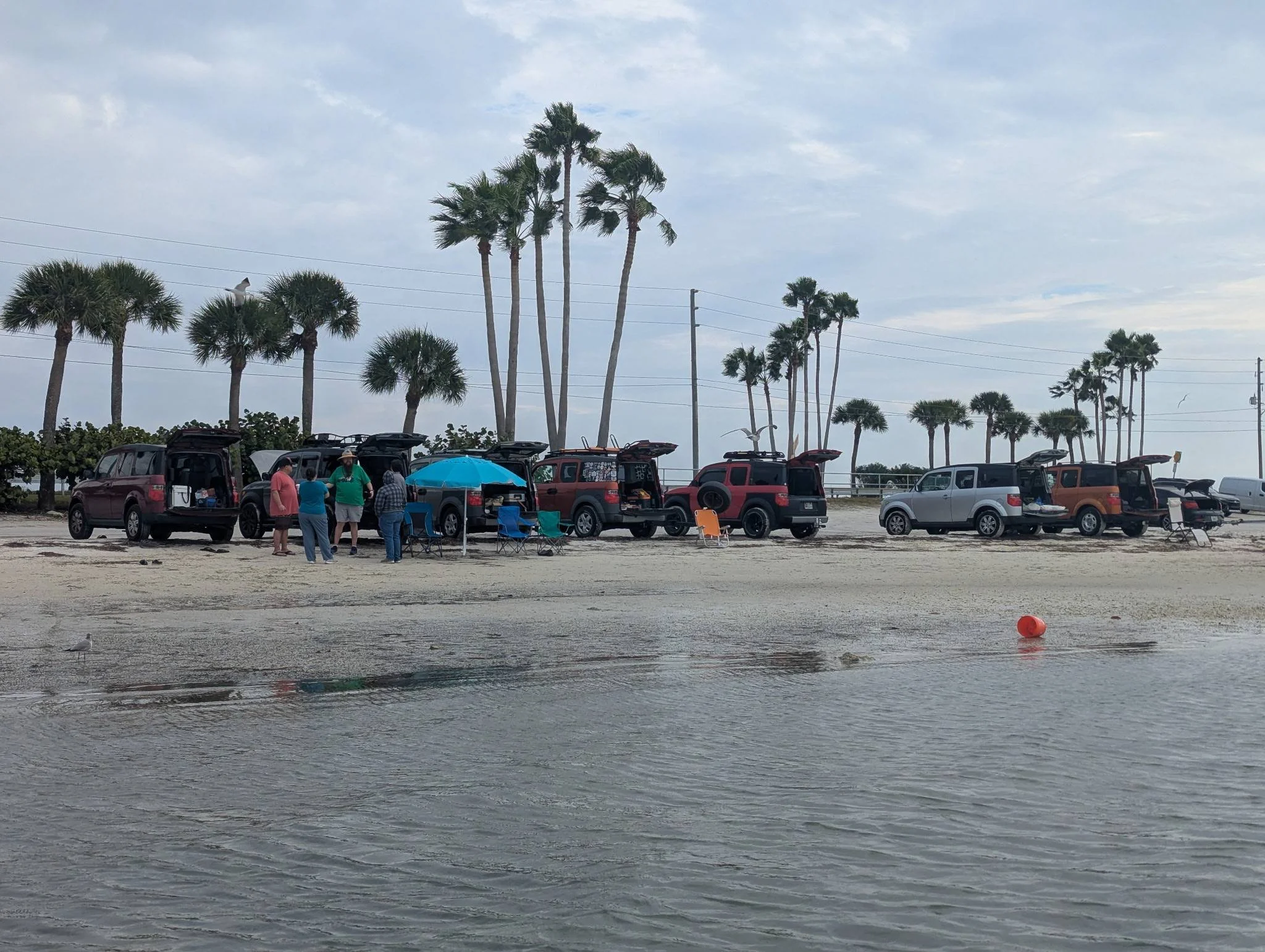 Tampa Bay Area Honda Element Gathering (1st Sunday of the month)