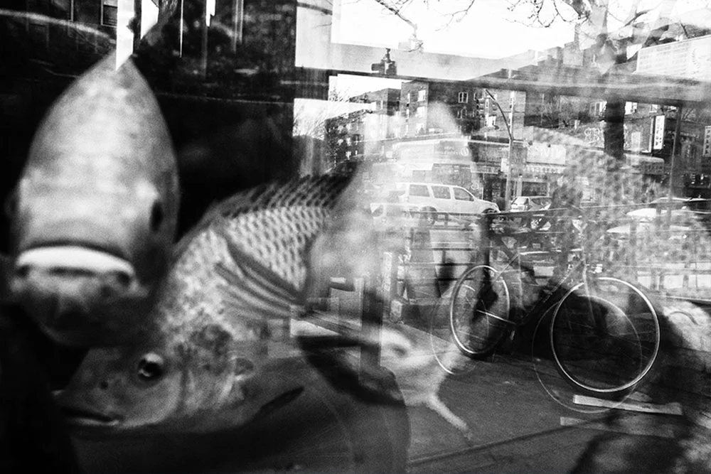 costales_taranita_untitled09.jpg