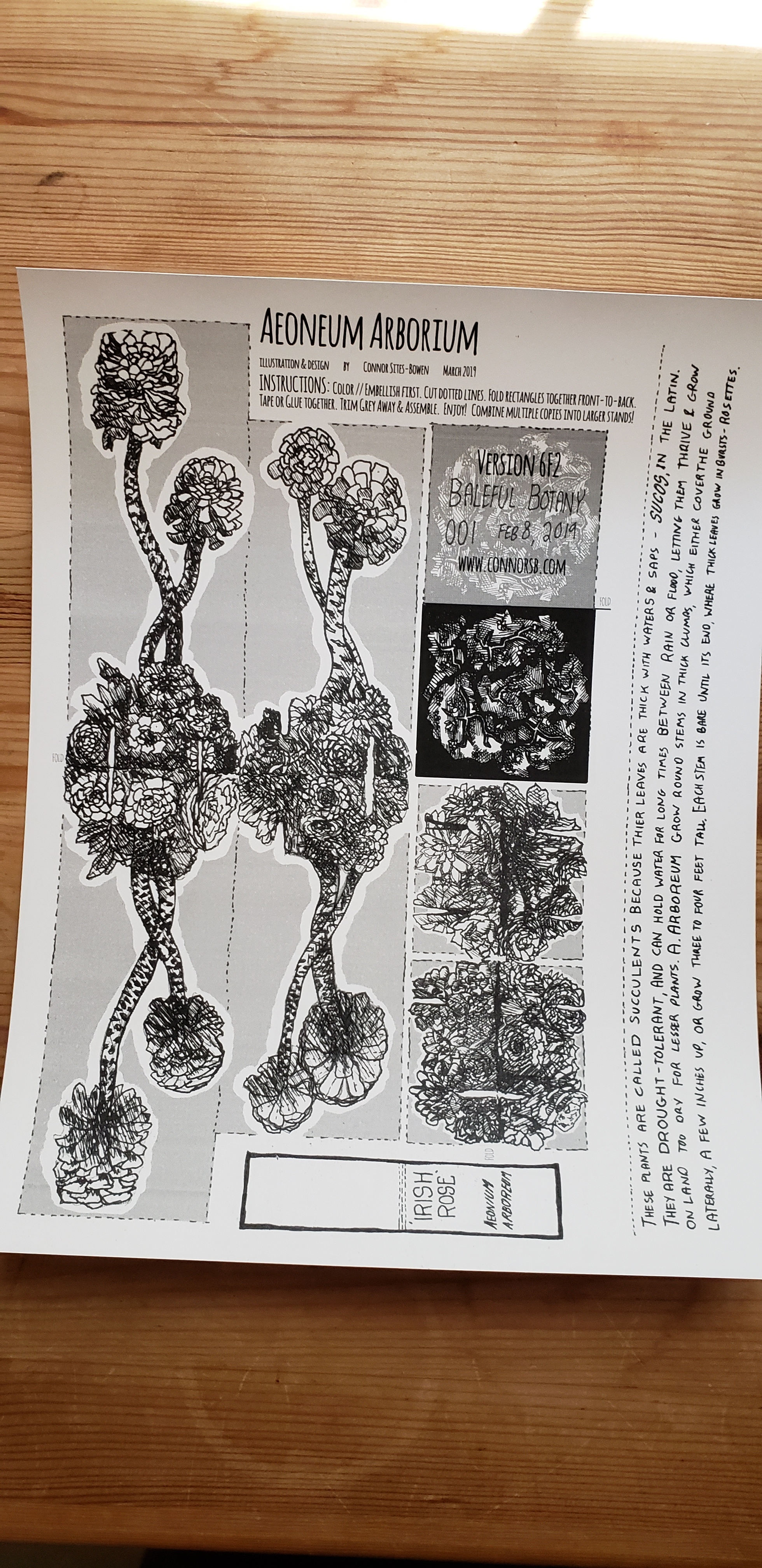 Draft of The Irish Rose of San Francisco