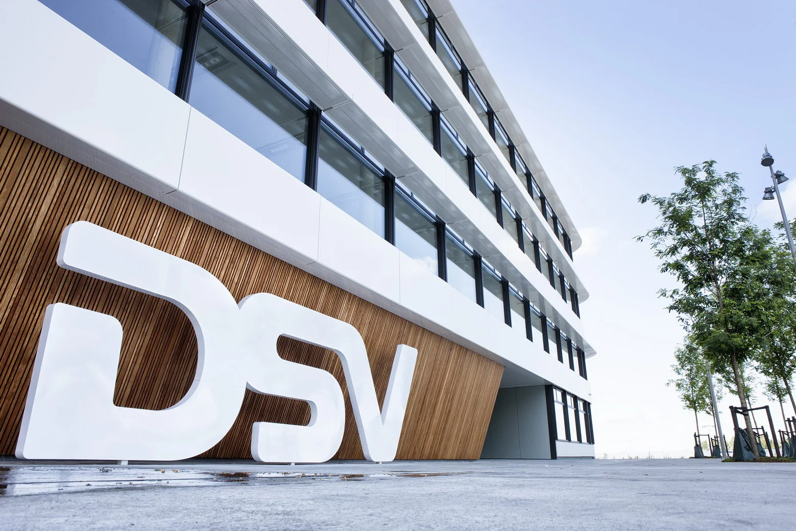 DSV_01.jpg