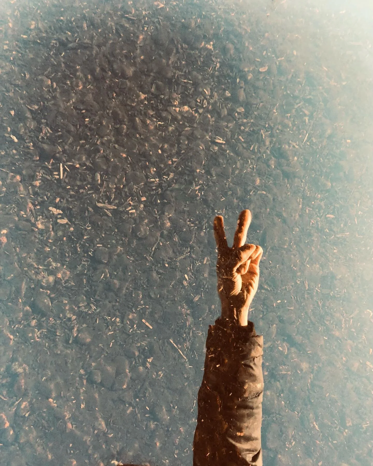 It&rsquo;s Opposite Day. Me being the opposite of me, to get around being the opposite of you. 

See, my kids are with their dad for the week, my friends are celebrating with their fams, and my familia lives all the way across the country. And that p