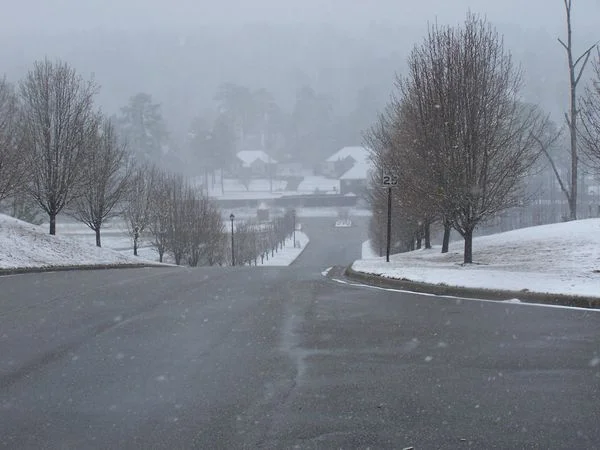 normal_flakes-winter-original.jpg