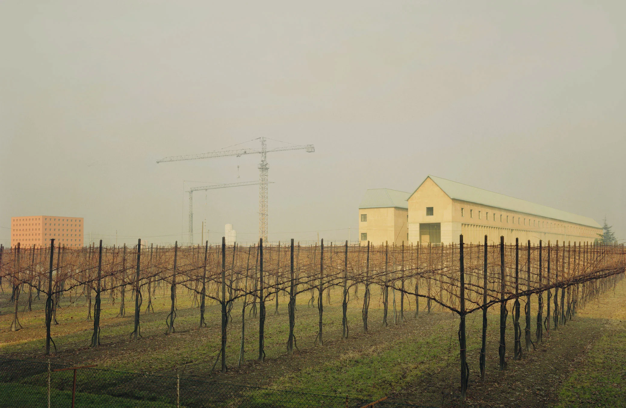 Aldo Rossi