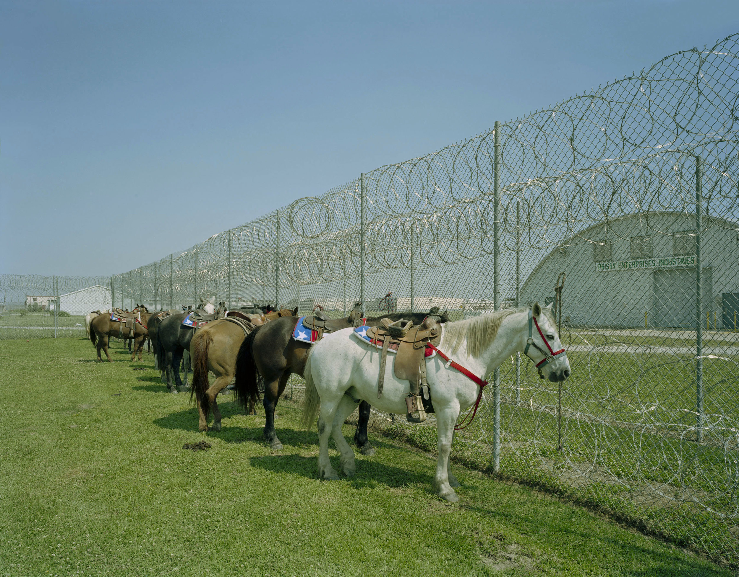 Angola Prison Rodeo