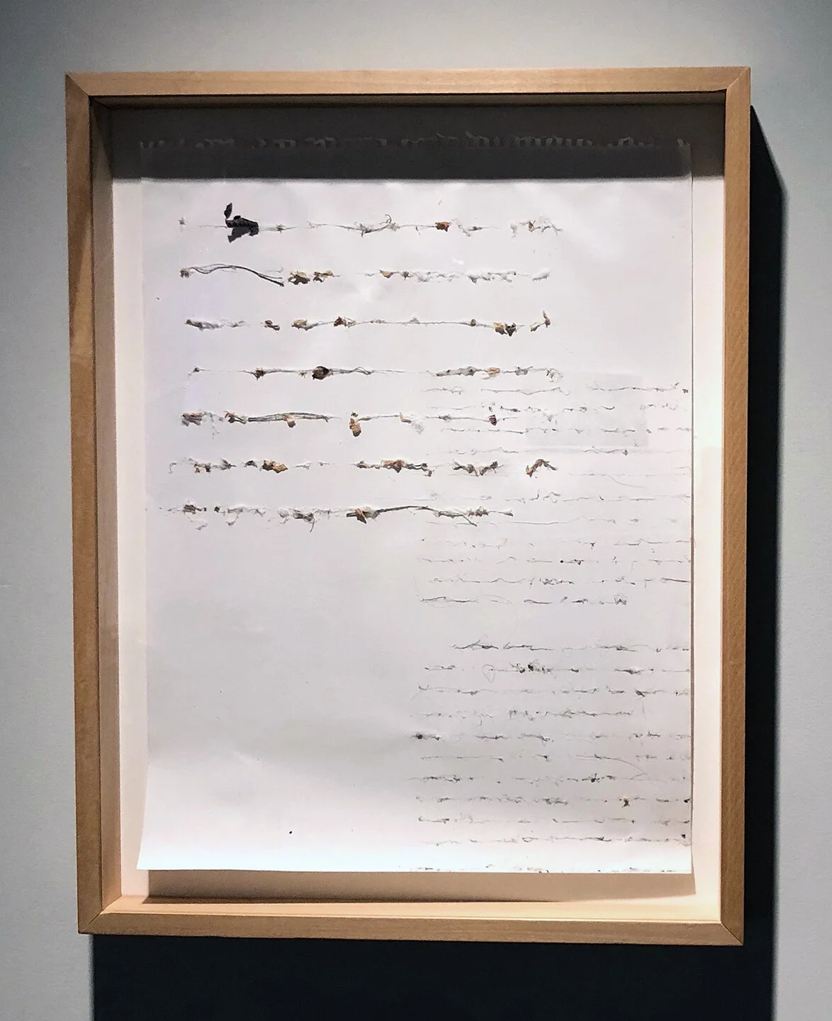 untitled, webs, Newburghspider webs, 2018